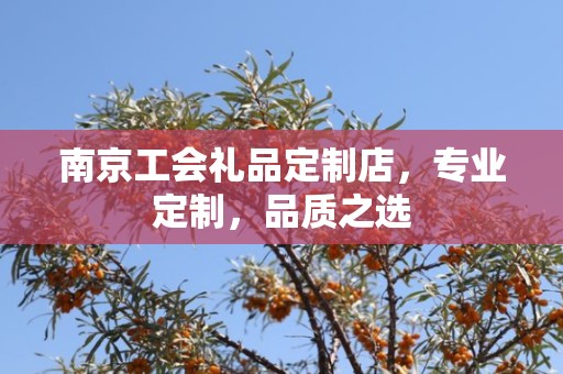 南京工会礼品定制店，专业定制，品质之选