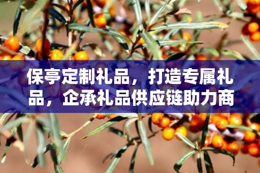 保亭定制礼品，打造专属礼品，企承礼品供应链助力商务推广