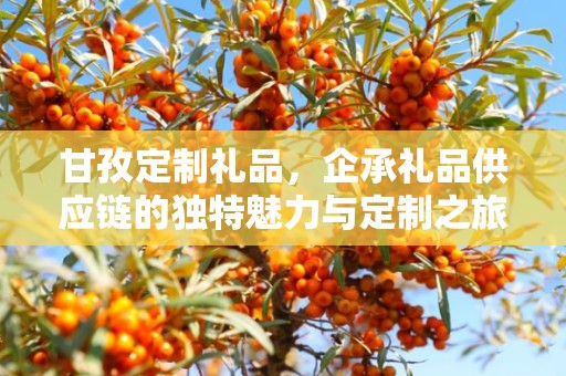 甘孜定制礼品，企承礼品供应链的独特魅力与定制之旅