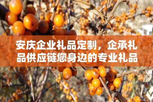 安庆企业礼品定制，企承礼品供应链您身边的专业礼品定制公司