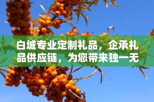 白城专业定制礼品，企承礼品供应链，为您带来独一无二的礼品定制体验