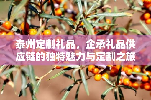 泰州定制礼品，企承礼品供应链的独特魅力与定制之旅