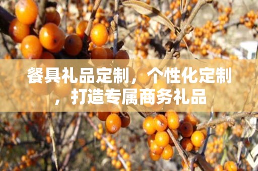 餐具礼品定制，个性化定制，打造专属商务礼品